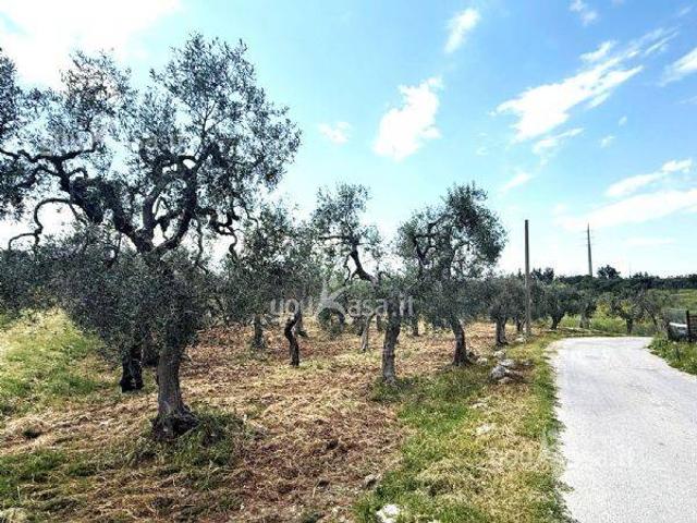 Terreno in vendita a Municipio 4, Puglia