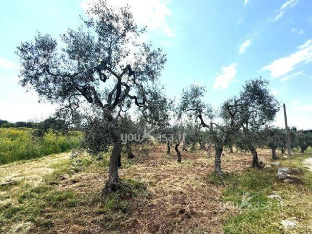 Terreno in vendita a Municipio 4, Puglia