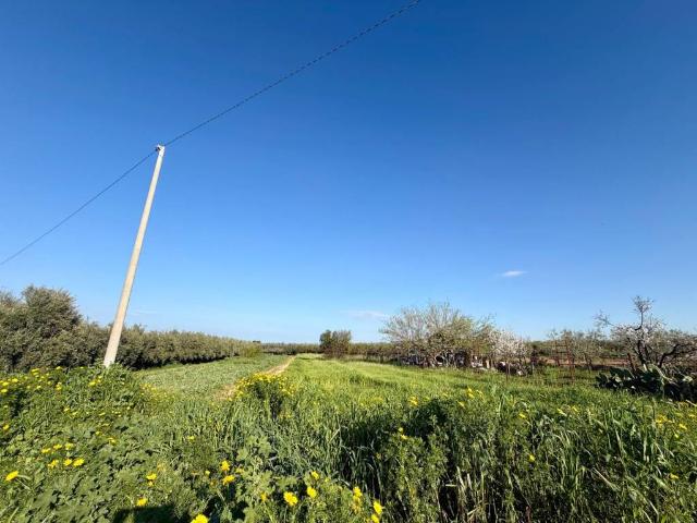 Terreno in vendita a Zona 167, Puglia
