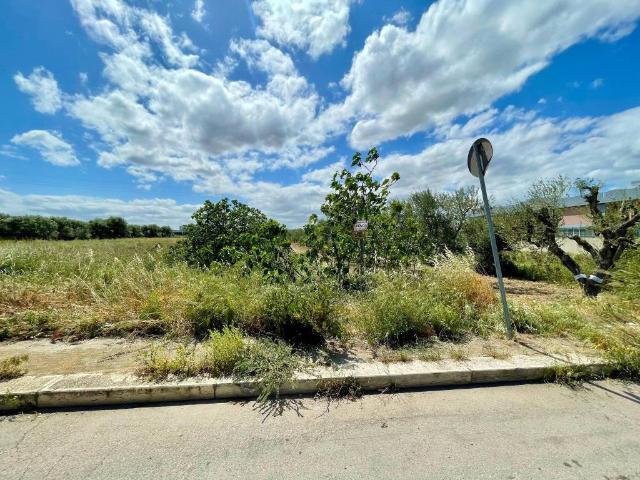 Terreno in vendita a Puglia, Barletta-andria-trani