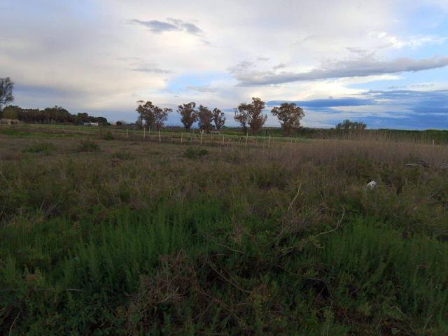 Terreno in vendita a Fiumara, Puglia
