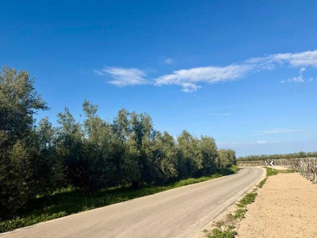 Terreno in vendita a Zona 167, Puglia