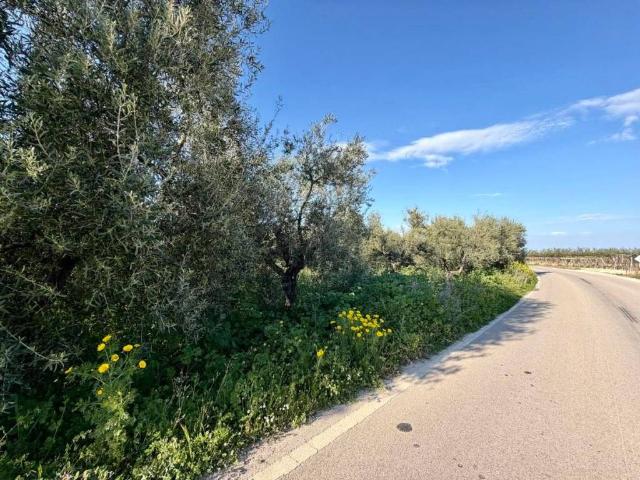 Terreno in vendita a Zona 167, Puglia