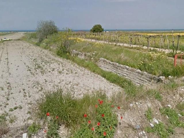 Terreno in vendita a Puglia, Barletta-andria-trani