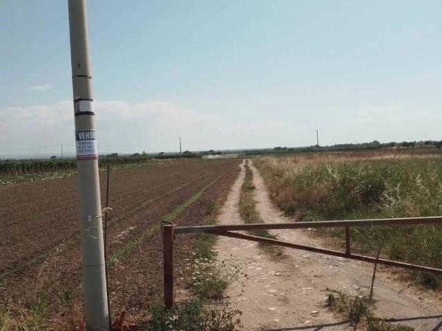 Terreno in vendita a Fiumara, Barletta
