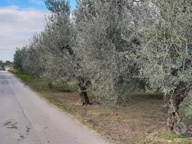 Terreno in vendita a Puglia, Barletta-andria-trani