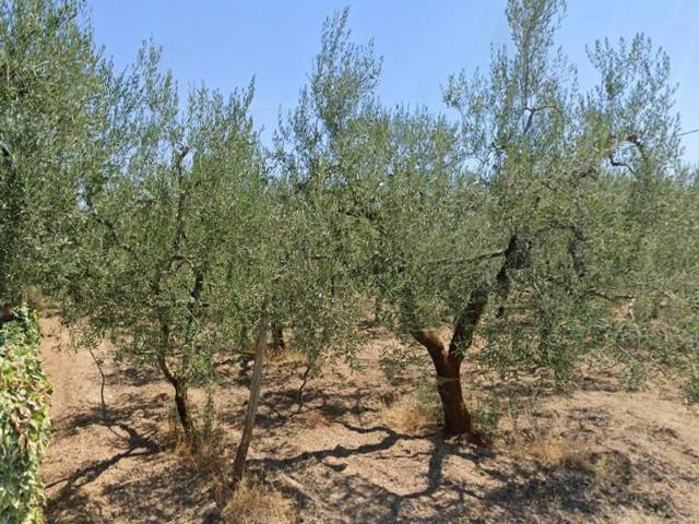 Terreno in vendita a Puglia, Barletta-andria-trani