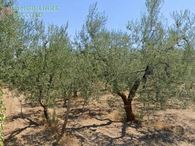 Terreno in vendita a Puglia, Barletta-andria-trani