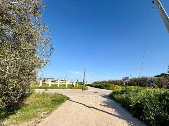 Terreno in vendita a Zona 167, Puglia
