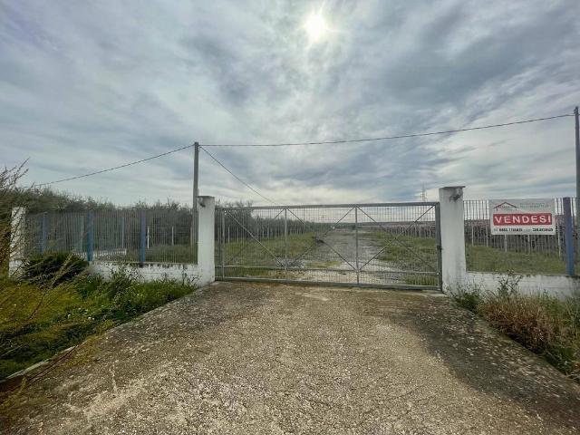 Terreno in vendita a Zona 167, Puglia