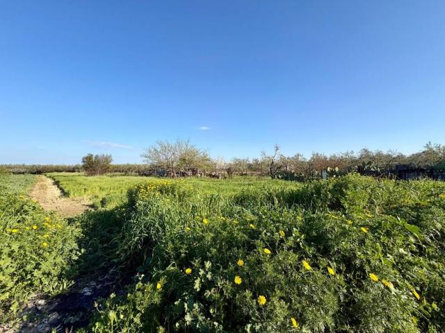 Terreno in vendita a Zona 167, Puglia