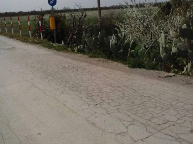 Terreno in vendita a Fiumara, Puglia