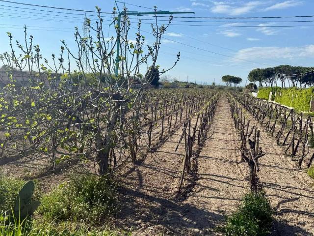 Terreno in vendita a Zona 167, Puglia
