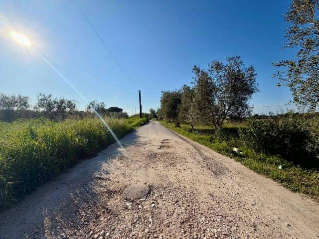 Terreno in vendita a Zona 167, Puglia
