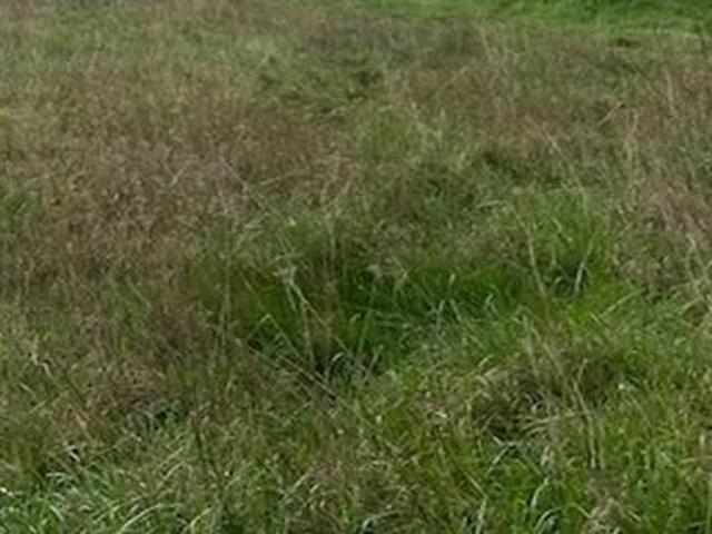 Terreno in vendita a Sava, Baronissi