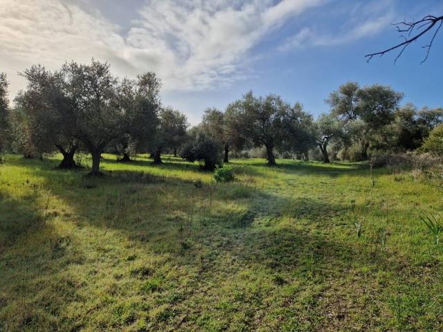 Terreno in vendita a Barumini, Sardigna/Sardegna