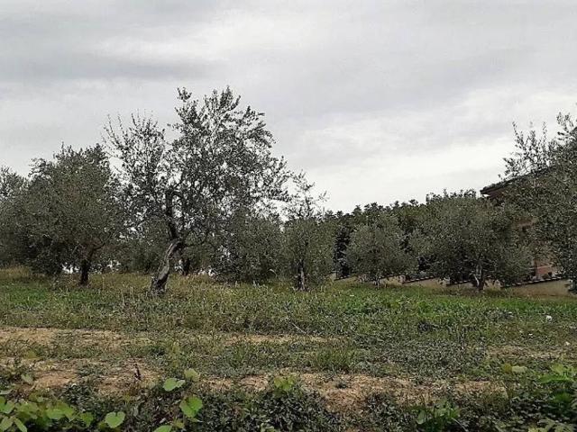 Terreno in vendita a Basciano, Abruzzo