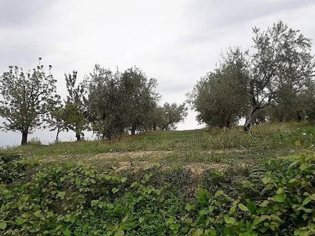 Terreno in vendita a Basciano, Abruzzo