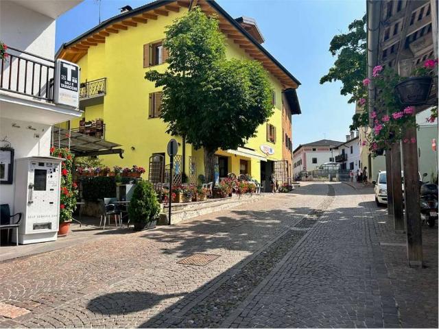 Terreno in vendita a Comunità Alta Valsugana e Bersntol, Baselga Di Piné