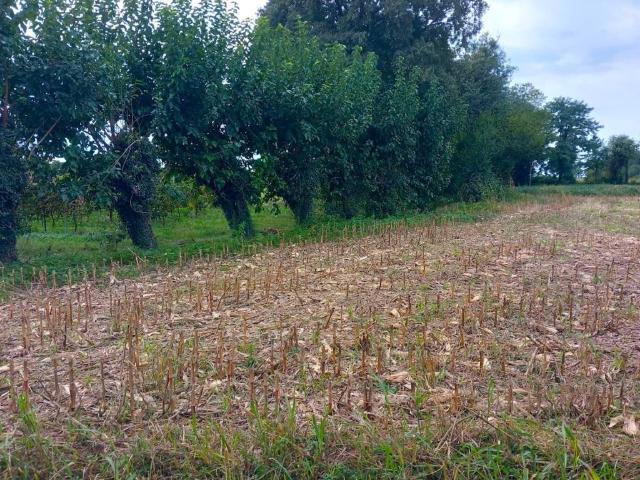 Terreno in vendita a Villaorba / Vilevuarbe, Basiliano / Pasian Sclavonesc