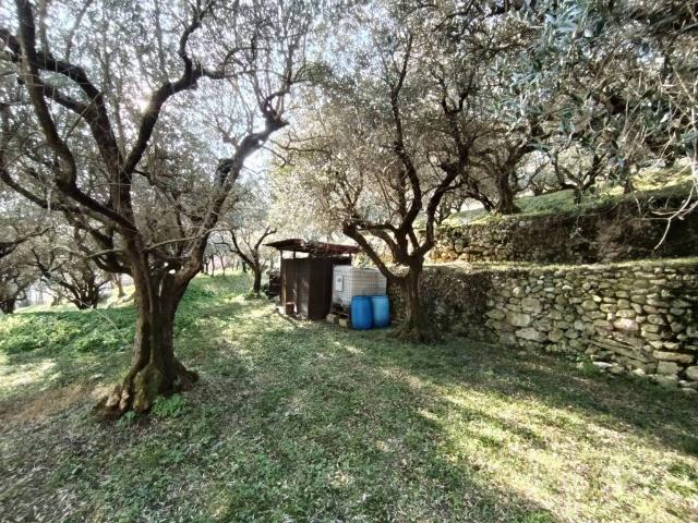 Terreno in vendita a Bassano Del Grappa, Veneto