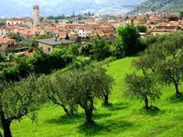Terreno in vendita a Bassano Del Grappa, Veneto