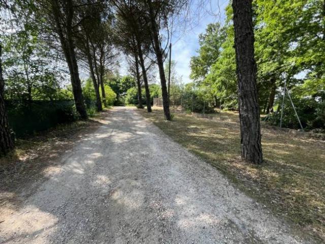 Terreno in vendita a Bassano In Teverina, Lazio