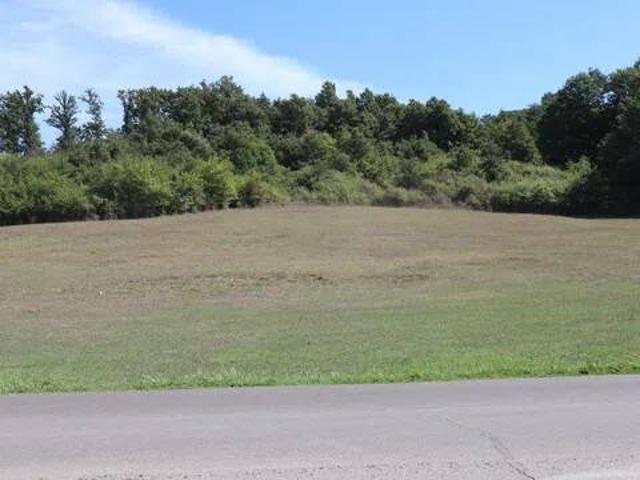 Terreno in vendita a Bassano Romano, Lazio