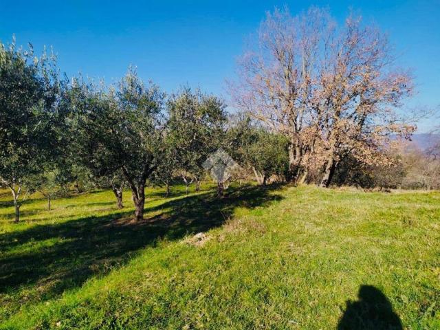 Terreno in vendita a Bassano Romano, Lazio