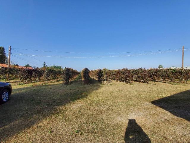 Terreno in vendita a Unione dei comuni del Sorbara, Bastiglia