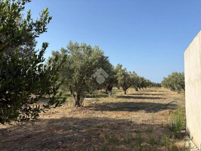 Terreno in vendita a Calabria, Catanzaro