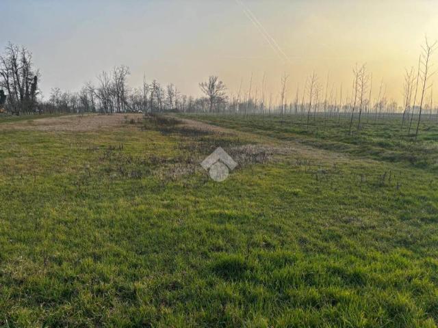 Terreno in vendita a Belgioioso, Lombardia