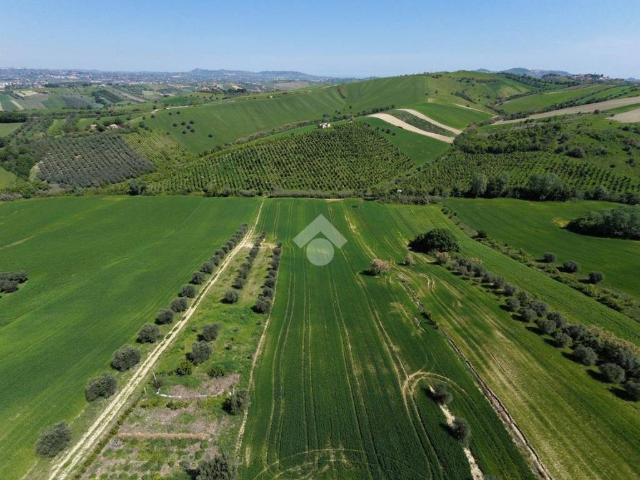 Terreno in vendita a Bellante, Abruzzo