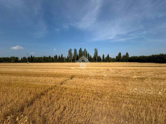 Terreno in vendita a Bordonchio, Bellaria