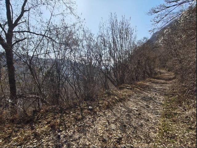 Terreno in vendita a Vezzano, Zoldo Alto