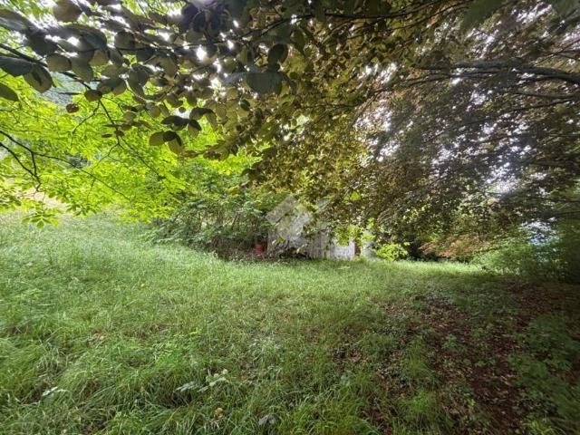 Terreno in vendita a Zoldo Alto, Veneto