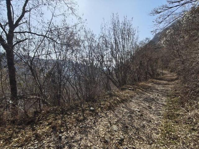 Terreno in vendita a Vezzano, Zoldo Alto