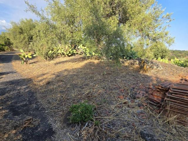 Terreno in vendita a Belpasso, Sicilia