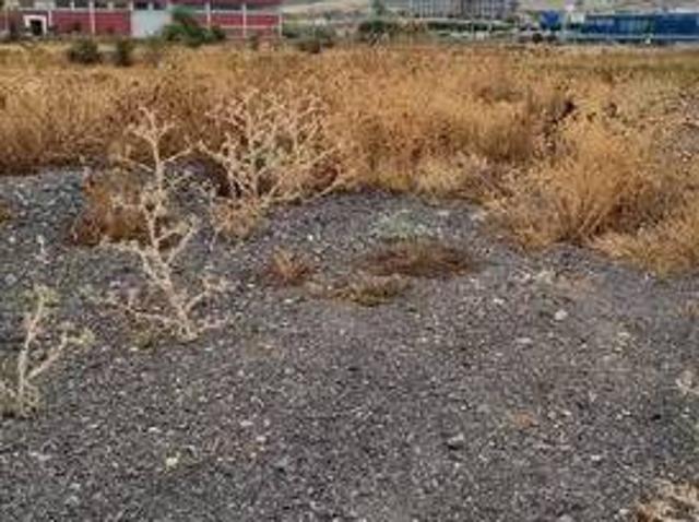 Terreno in vendita a Belpasso, Sicilia