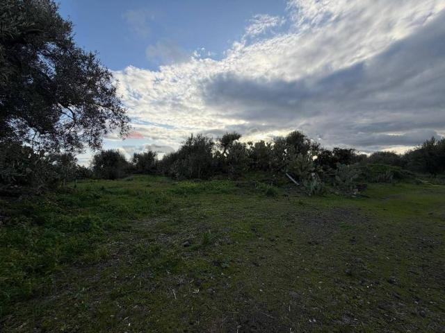 Terreno in vendita a Belpasso, Sicilia
