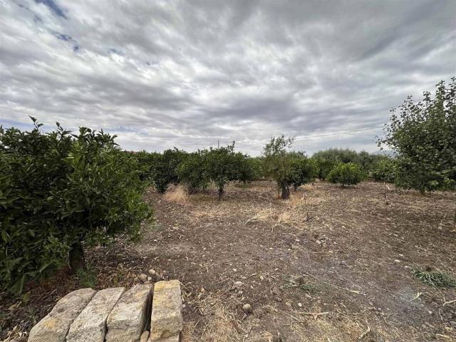 Terreno in vendita a Belpasso, Sicilia