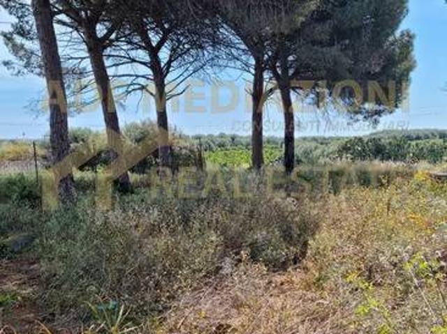 Terreno in vendita a Belpasso, Sicilia
