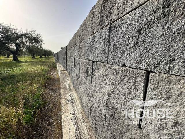 Terreno in vendita a Belpasso, Sicilia