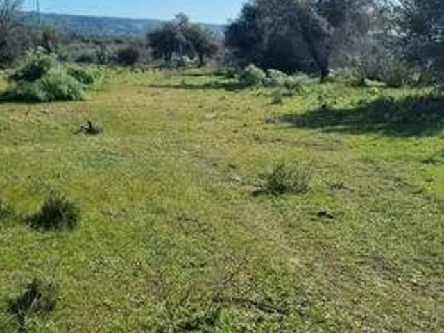Terreno in vendita a Belpasso, Sicilia