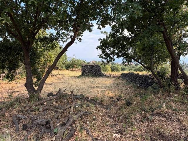 Terreno in vendita a Belpasso, Sicilia