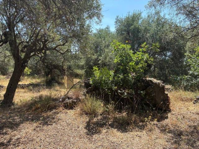 Terreno in vendita a Belpasso, Sicilia