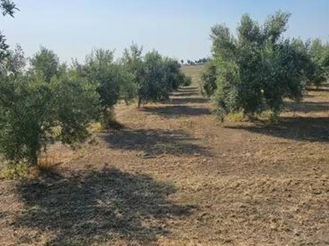 Terreno in vendita a Belpasso, Sicilia