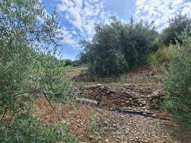 Terreno in vendita a Belpasso, Sicilia