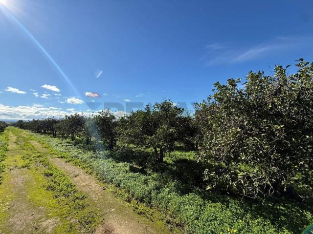 Terreno in vendita a Belpasso, Sicilia
