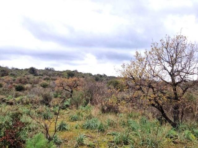 Terreno in vendita a Belpasso, Sicilia